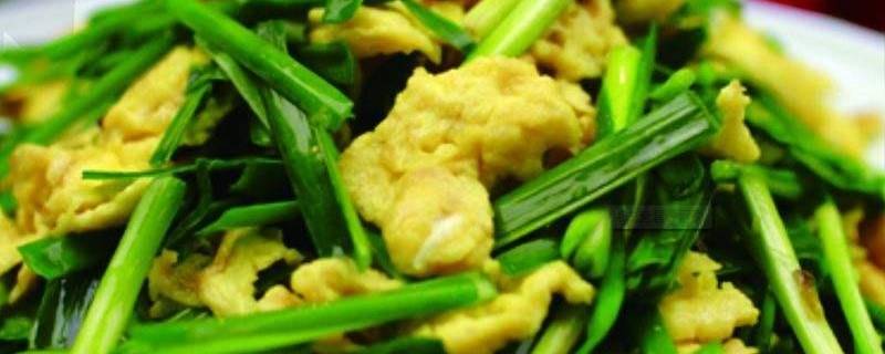 韭菜可以炒哪些东西 韭菜可以炒哪些东西好吃