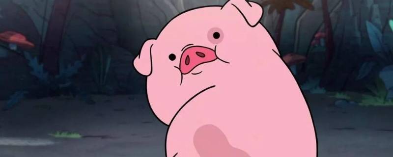 关于猪的笑话（关于猪的笑话段子）