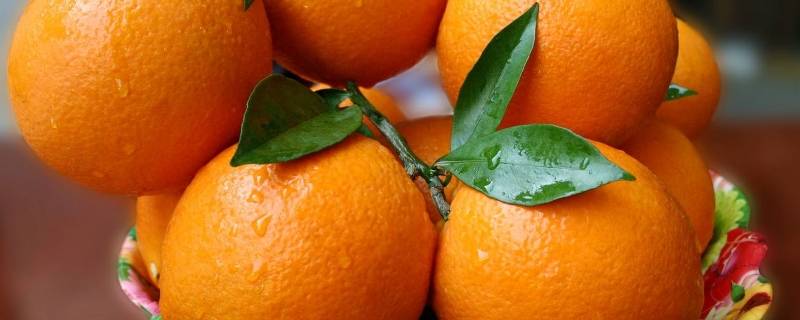 关于橙子的吉祥语 橙子寓意吉祥词语