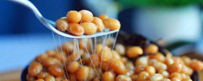 纳豆怎么储藏（纳豆怎么冷藏）