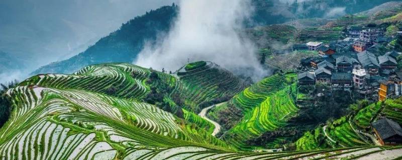 广西的习俗（广西的传统风俗）