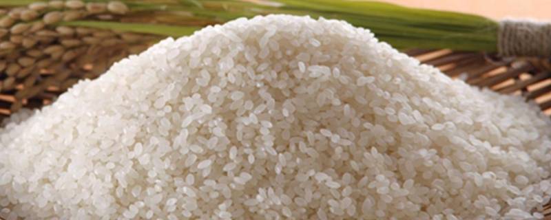 大米发源地 中国大米发源地