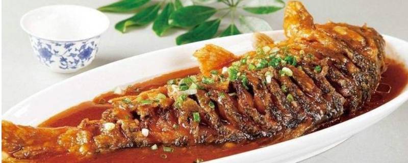 红烧鱼的制作方法和配料 红烧鱼的食材及制作过程