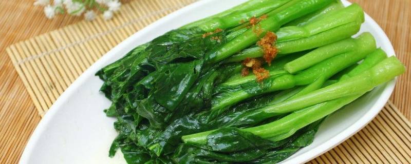 哪些青菜是温性的 哪些青菜是温性的视频
