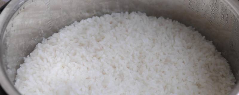 用蒸笼蒸米饭要蒸多久（蒸笼米饭要蒸多长时间）