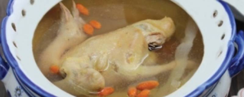 怎样做鸽子汤好喝（怎样做鸽子汤好喝有营养）