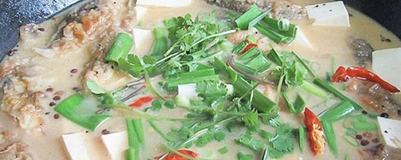 红头鱼炖豆腐怎么做好吃 红头鱼炖豆腐怎么做好吃呢