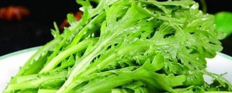茼蒿怎么洗 茼蒿怎么清洗干净