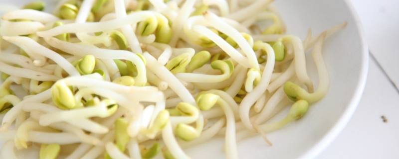 立春吃哪种菜 立春吃那种菜