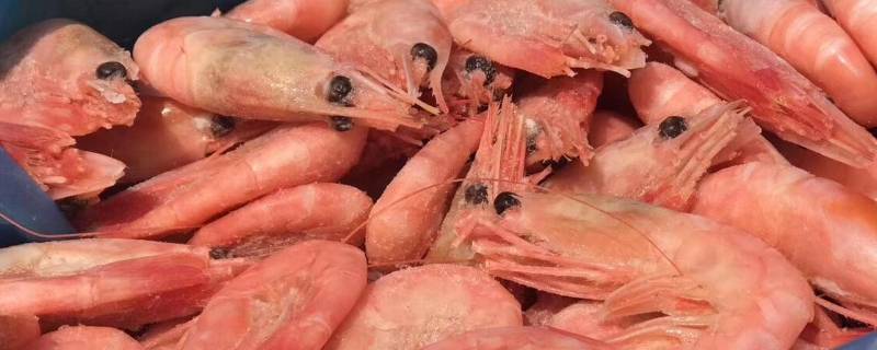 北极甜虾怎么做好吃 冻的北极甜虾怎么做好吃