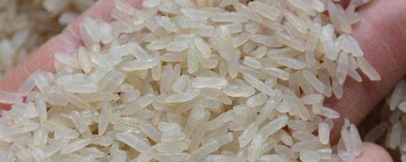阴米的功效与作用 阴米的功效与作用孕妇
