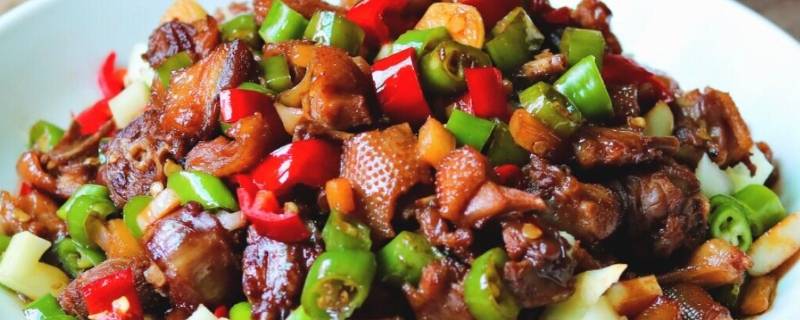 泡姜炒鸭肉怎么做好吃吗（泡姜炒鸭肉怎么做好吃吗图片）