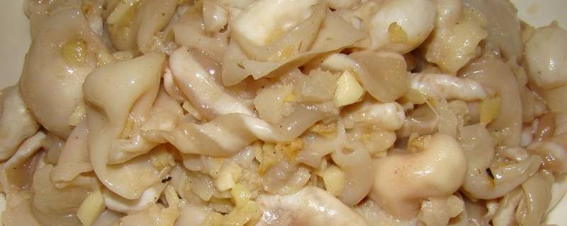 鱼泡是什么（鱼泡是什么部位）
