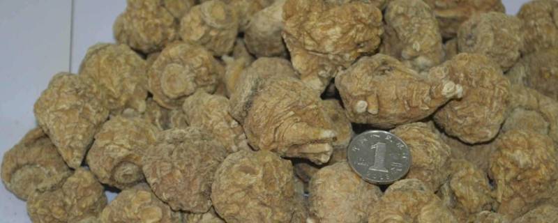 玛卡太硬怎么切片（玛卡整个的好硬怎么切）