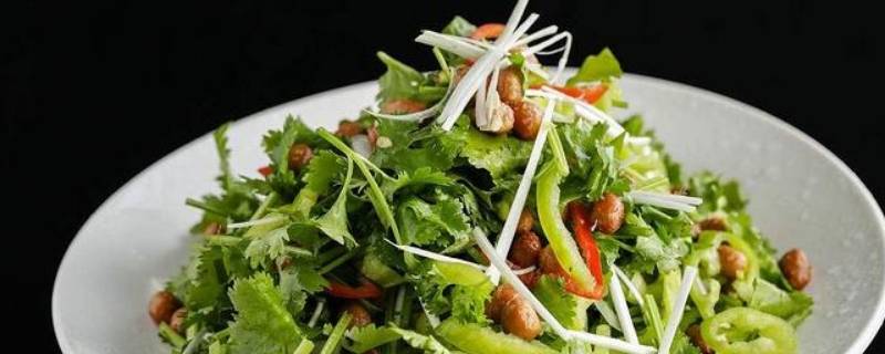 老虎菜的配料及制作方法（东北老虎菜的配料及制作方法）