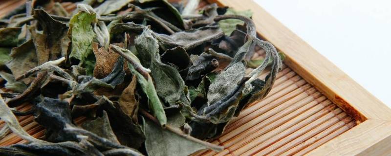 老寿眉的功效与作用 福鼎白茶老寿眉的功效与作用