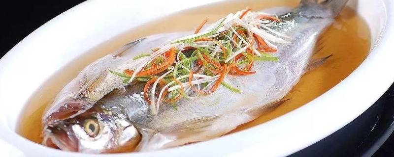 兴凯湖大白鱼怎么做好吃 兴凯湖小白鱼做法