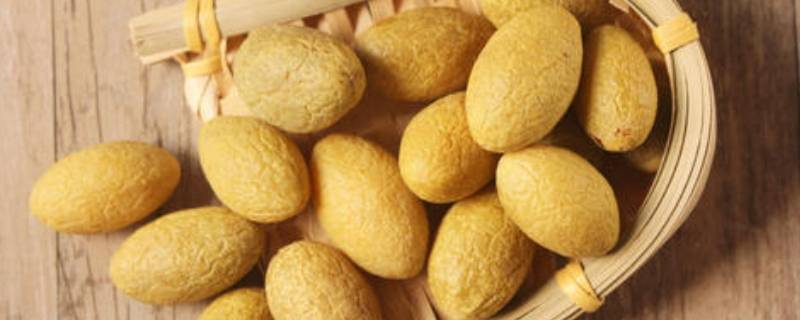 甜橄榄是什么品种（甜橄榄的品种）