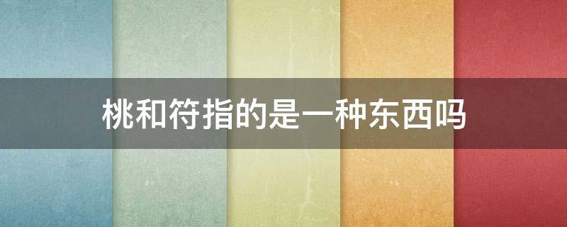 桃和符指的是一种东西吗 桃和符是指一种东西吗?