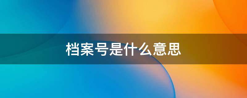 档案号是什么意思（档案是什么意思?）