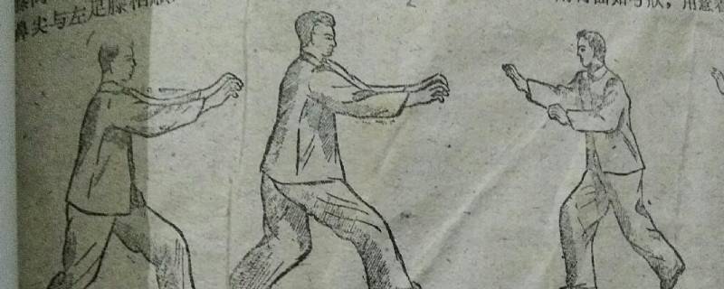 五禽是哪五畜 五禽是哪五畜图片