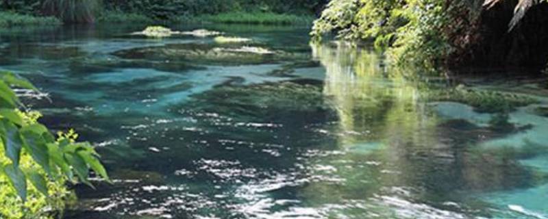 淡水资源包括哪些（淡水资源包括哪些地区）