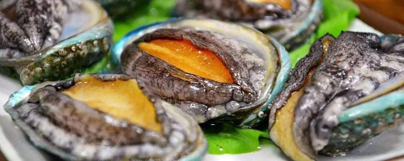 干鲍鱼可以用鸡汤来泡发吗 干鲍鱼可以用鸡汤来泡发吗怎么做