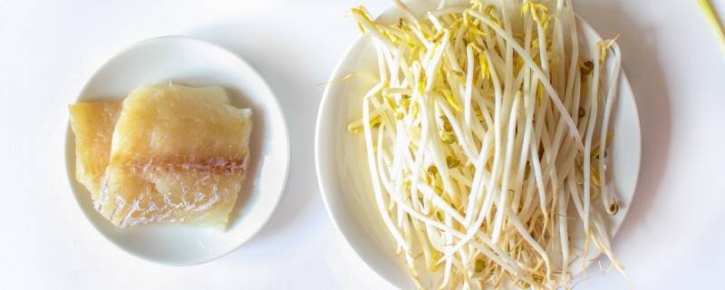 绿豆芽可以长多高（绿豆芽长多高才能吃）