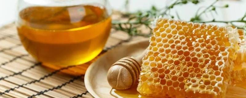 蜂蜜水要热水还是冷水泡 蜂蜜水用开水还是冷水泡效果才好