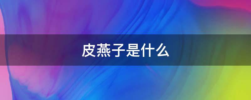 皮燕子是什么（皮燕子有个小肉球是痔疮吗）