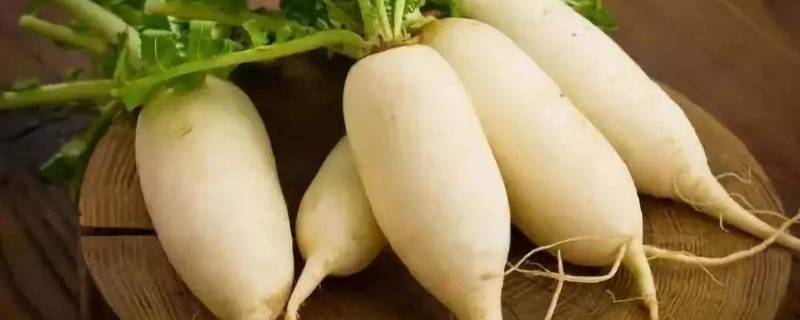 白萝卜放冰箱能放几天 切开的白萝卜放冰箱能放几天