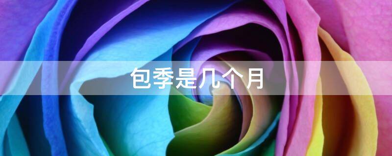 包季是几个月（优酷包季是几个月）
