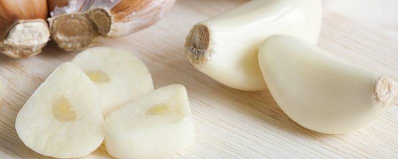 干大蒜怎样可以储存一年 干大蒜怎样可以储存一年不坏呢