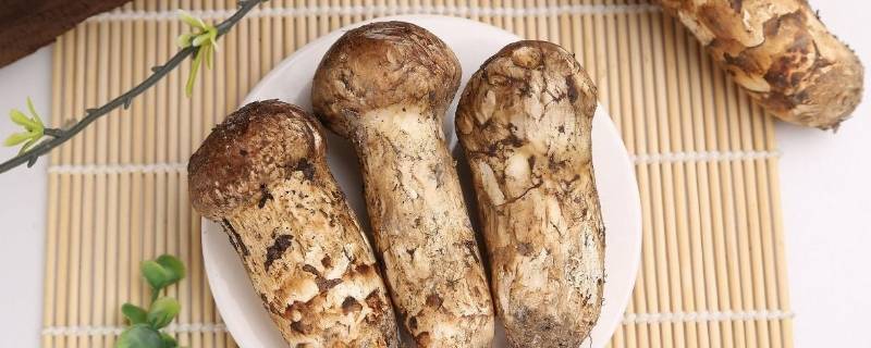 松茸冷冻后发黄还能吃吗 松茸冷冻后变黄变软可以吃吗