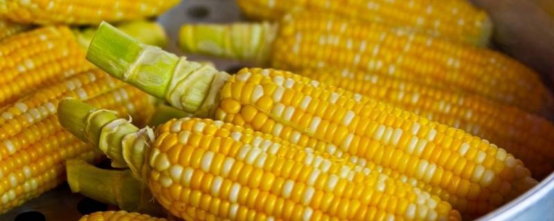 冻玉米煮多久 买的冷冻玉米煮多久