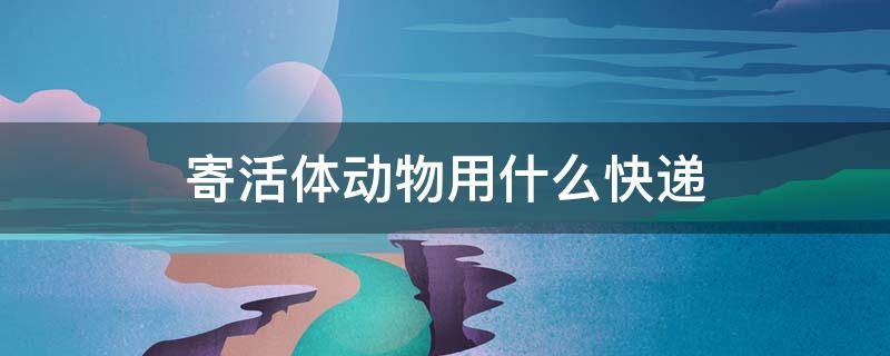 寄活体动物用什么快递（宠物托运平台app）