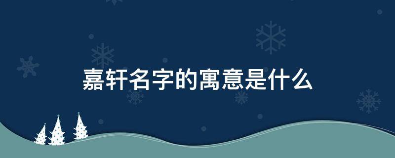 嘉轩名字的寓意是什么（嘉的最佳配字）