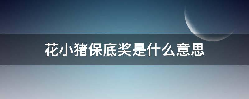 花小猪保底奖是什么意思（花小猪的保底奖是什么意思）