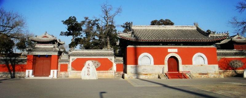 正觉寺在哪（正觉寺在哪里预约）