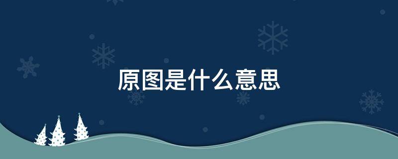 原图是什么意思（手机原图是什么意思）