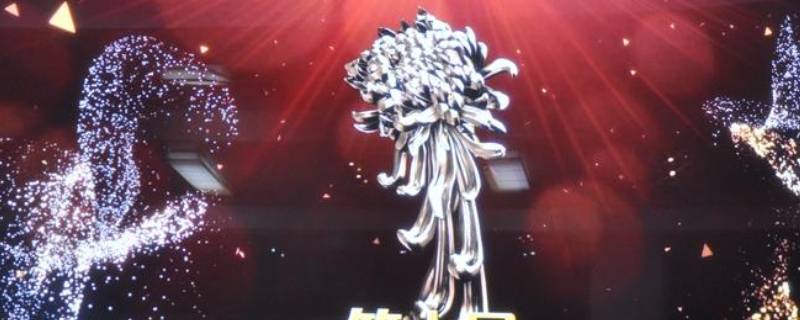 金菊花奖什么意思 金菊奖是什么奖
