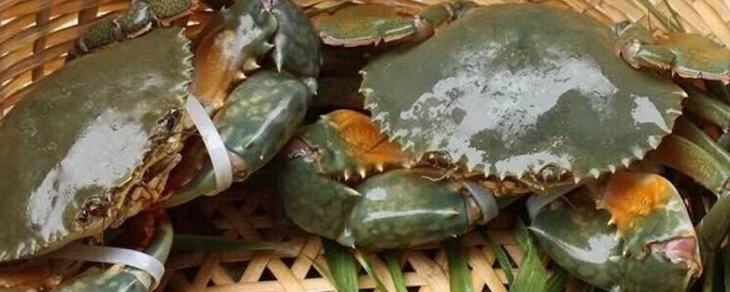 青蟹高压锅要蒸多久 青蟹高压锅蒸几分钟