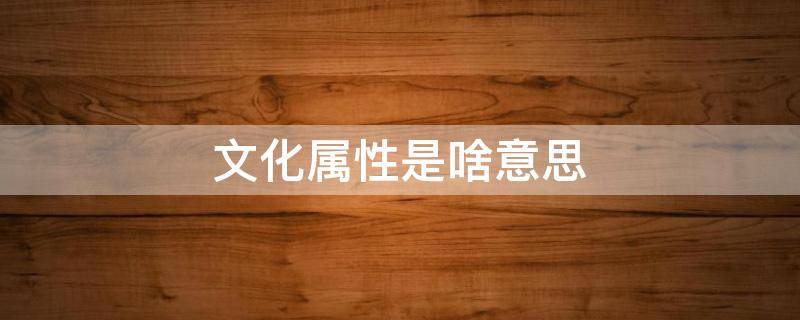 文化属性是啥意思（文化属性的四个层次）