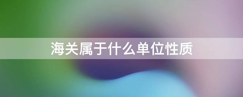 海关属于什么单位性质（常州海关属于什么单位性质）
