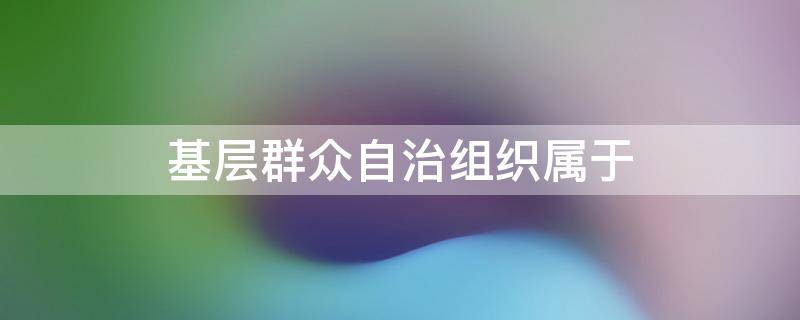 基层群众自治组织属于（基层群众自治组织属于政府吗）