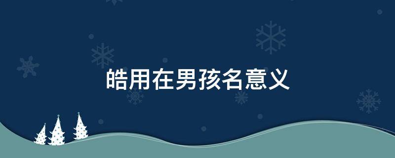 皓用在男孩名意义 昊用在男孩名意义