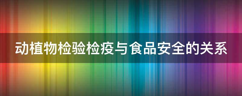 动植物检验检疫与食品安全的关系（动植物检验检疫与食品安全的关系是什么）