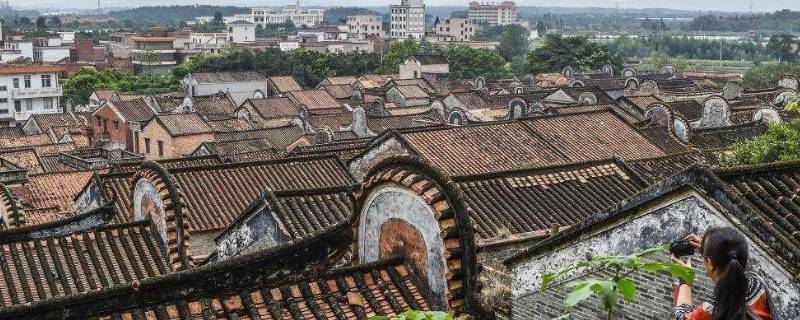 佛山特色 佛山特色菜