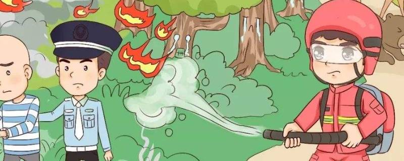 草原森林防火常识 草原森林防火常识有哪些