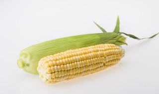 蒸冻熟玉米一般需要多少长时间 蒸冻熟玉米一般需要多少长时间能吃